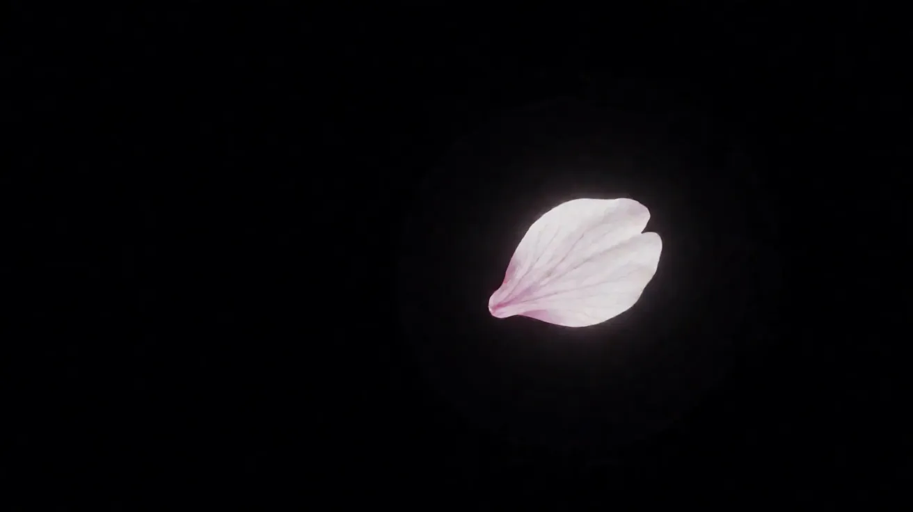 樱花动漫指南